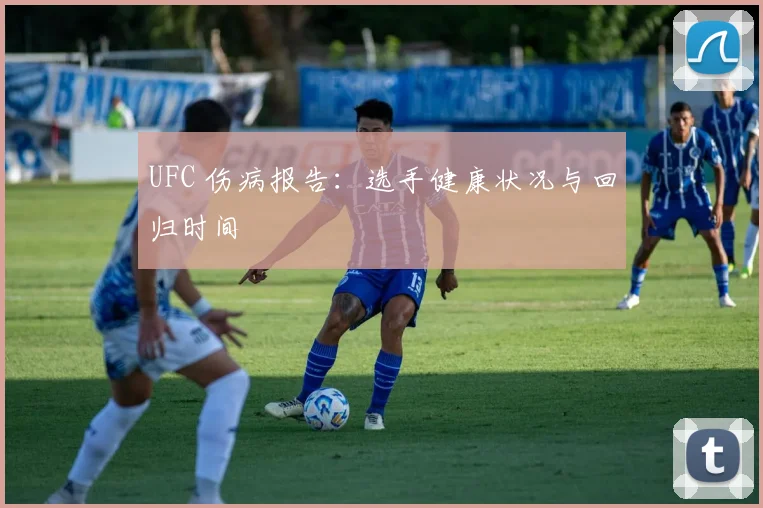UFC 伤病报告：选手健康状况与回归时间