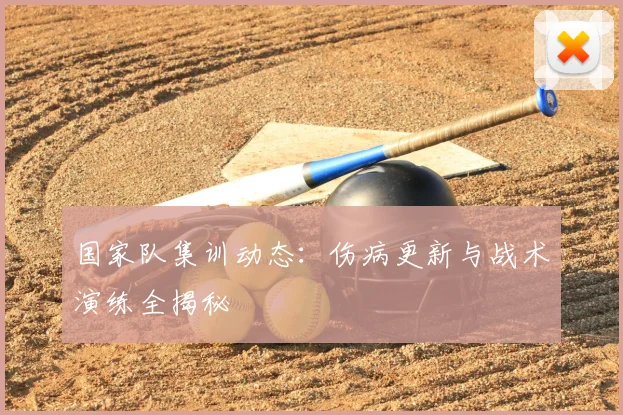 国家队集训动态：伤病更新与战术演练全揭秘