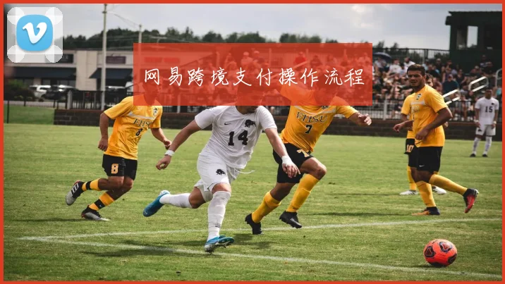 网易跨境支付操作流程