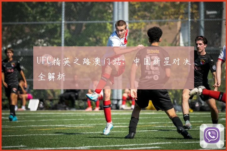 UFC精英之路澳门站：中国新星对决全解析