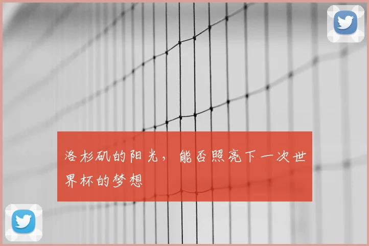 洛杉矶的阳光,能否照亮下一次世界杯的梦想