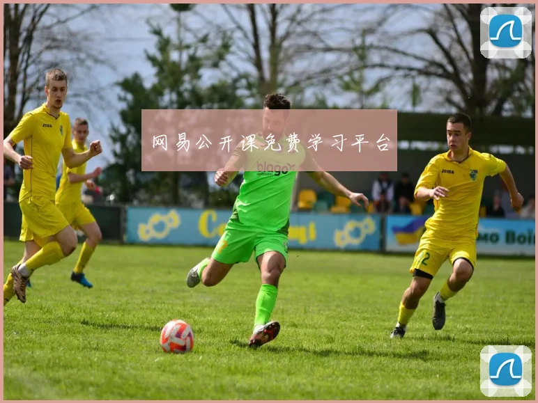 网易公开课免费学习平台