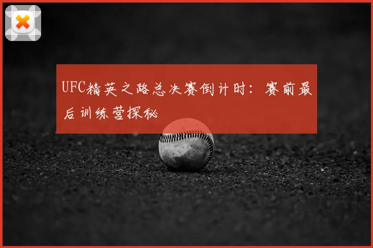 UFC精英之路总决赛倒计时：赛前最后训练营探秘