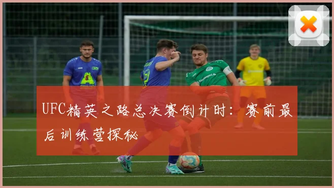 UFC精英之路总决赛倒计时:赛前最后训练营探秘