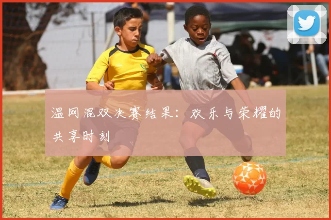 温网混双决赛结果:欢乐与荣耀的共享时刻