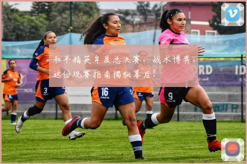 和平精英年度总决赛,战术博弈,这份观赛指南揭秘幕后!